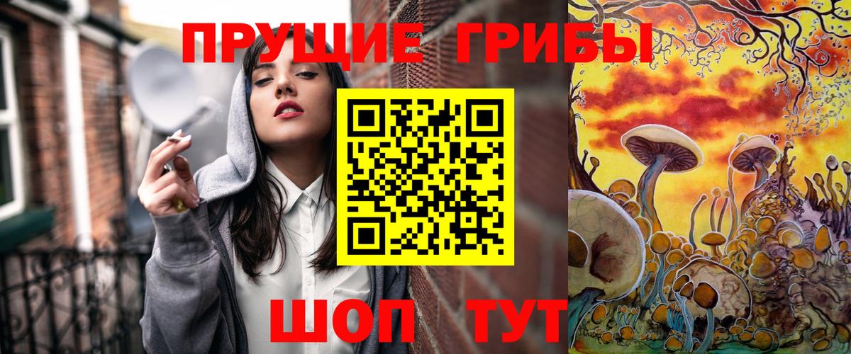 Псилоцибиновые грибы ЛСД Богородск