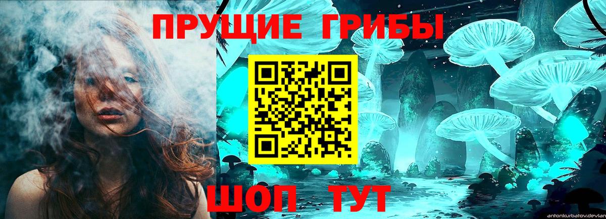Богородск  Псилоцибиновые грибы прущие грибы  Вход с VPN  Псилоцибиновые грибы мухоморы 